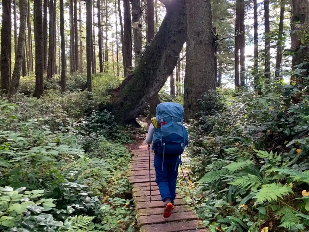 Boardwalk on the Juan de Fuca Trail