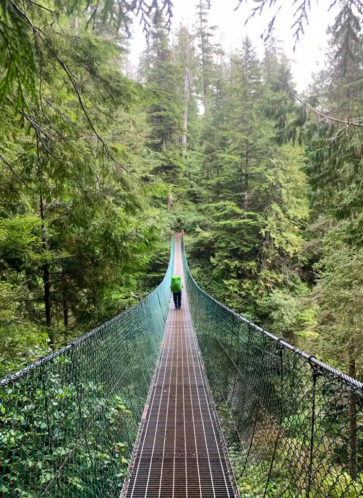 Loss Creek Suspension Bridge