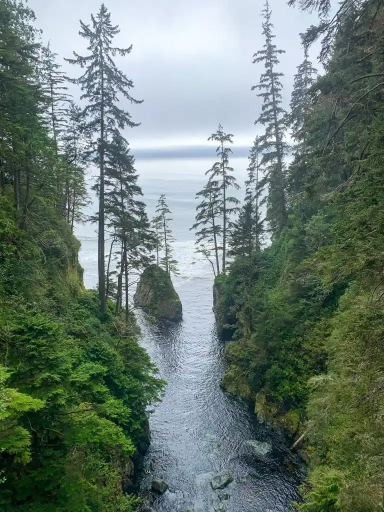 View from Loss Creek Suspension Bridge