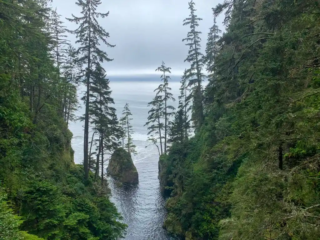 View from the Loss Creek Suspension Bridge on the Juan de Fuca Trail