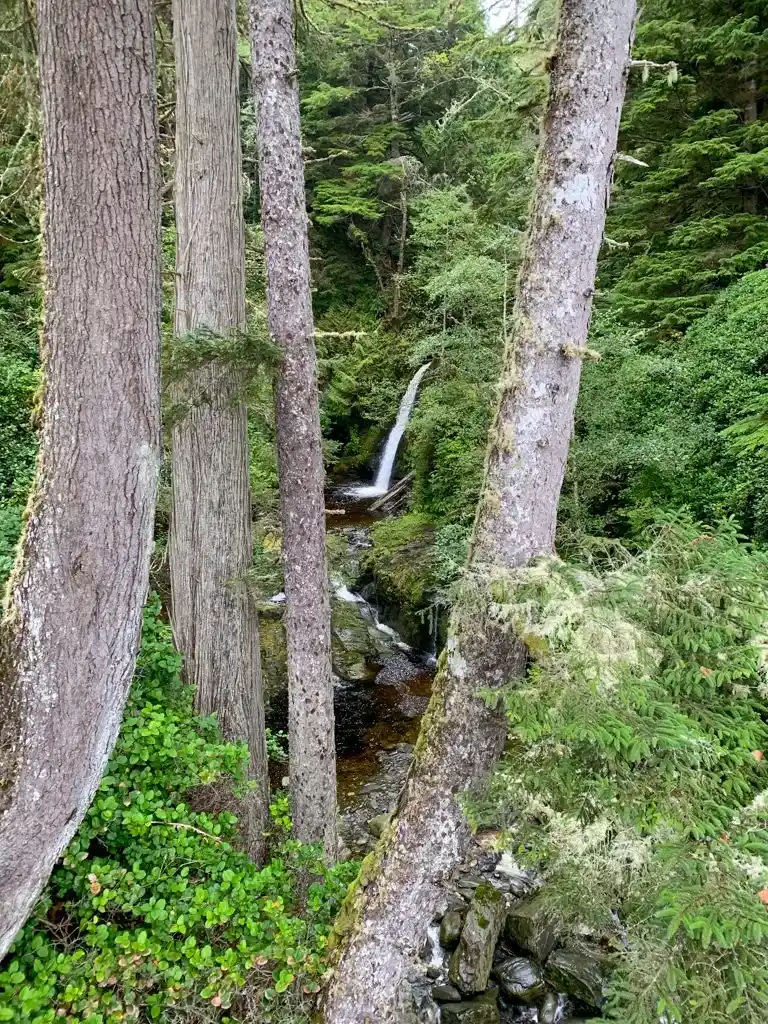 A waterfall near the Minute Creek suspension bridge on the Juan de Fuca Trail