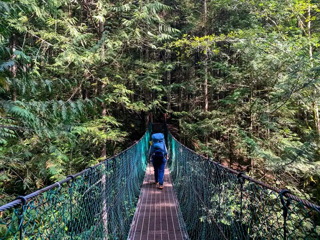 Pete Wolf Creek Suspension Bridge