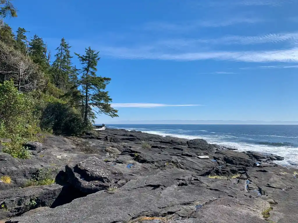 Reef shelf on the Juan de Fuca Trail