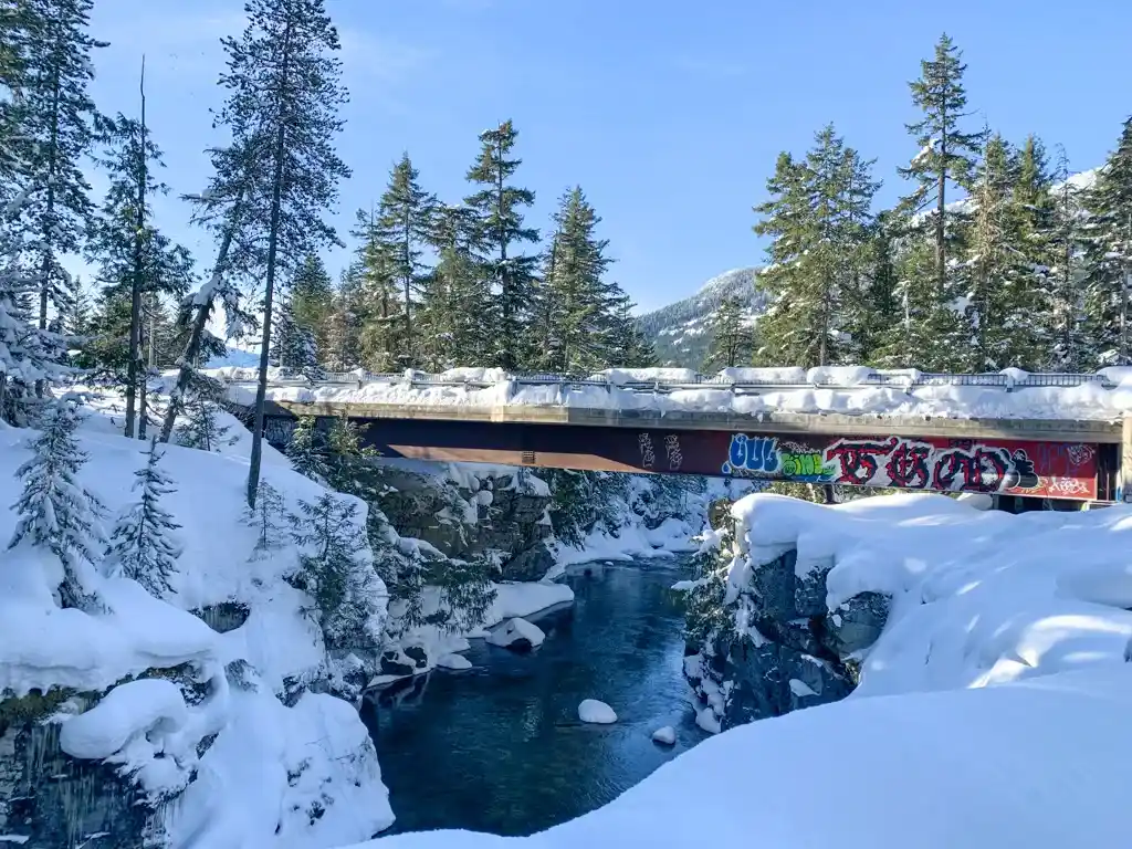 Bridge over the Cheakamus River