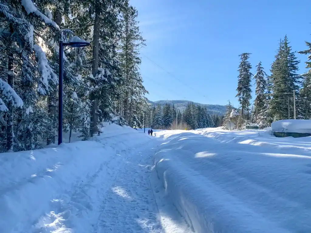 Valley Trail in Cheakamus Crossing