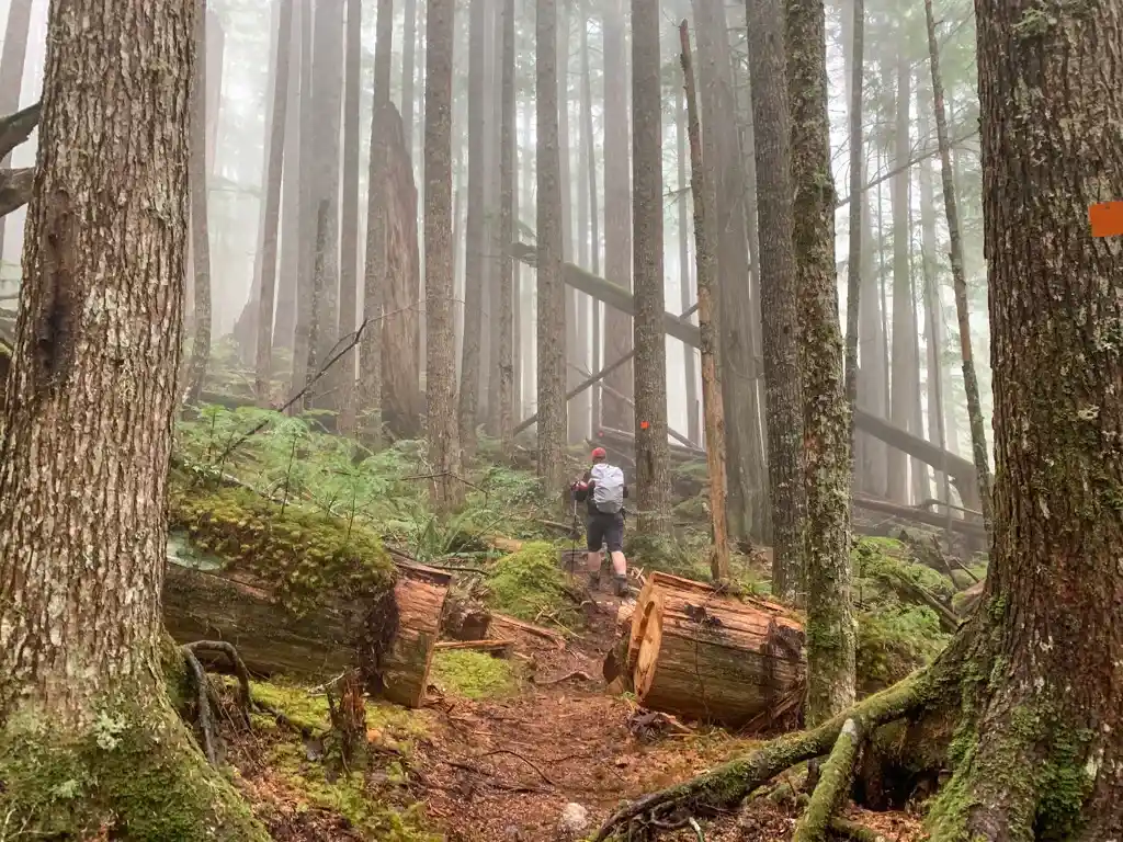 Trail to Confederation Lake on the Sunshine Coast Trail