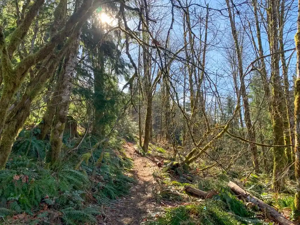 Fartherside Trail climbs on switchbacks