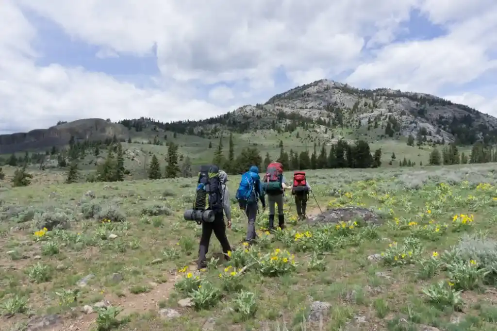 Backpackers in Yellowstone National Park - backpacking for beginners - tips you need to get started