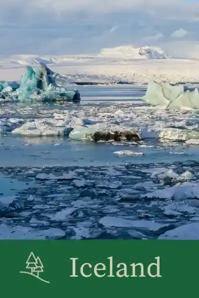 Iceland category button