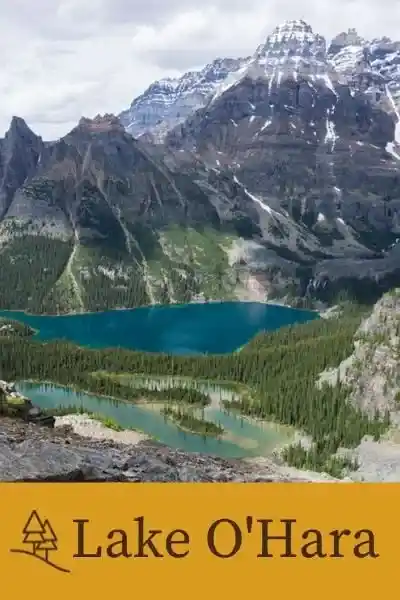 Lake O'Hara button