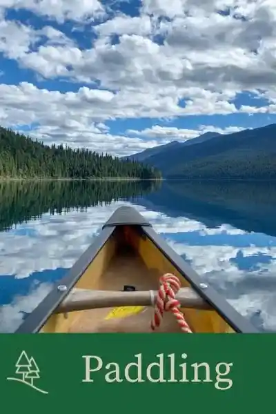 Paddling category button