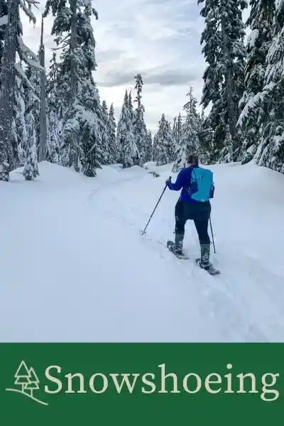 Snowshoeing category button