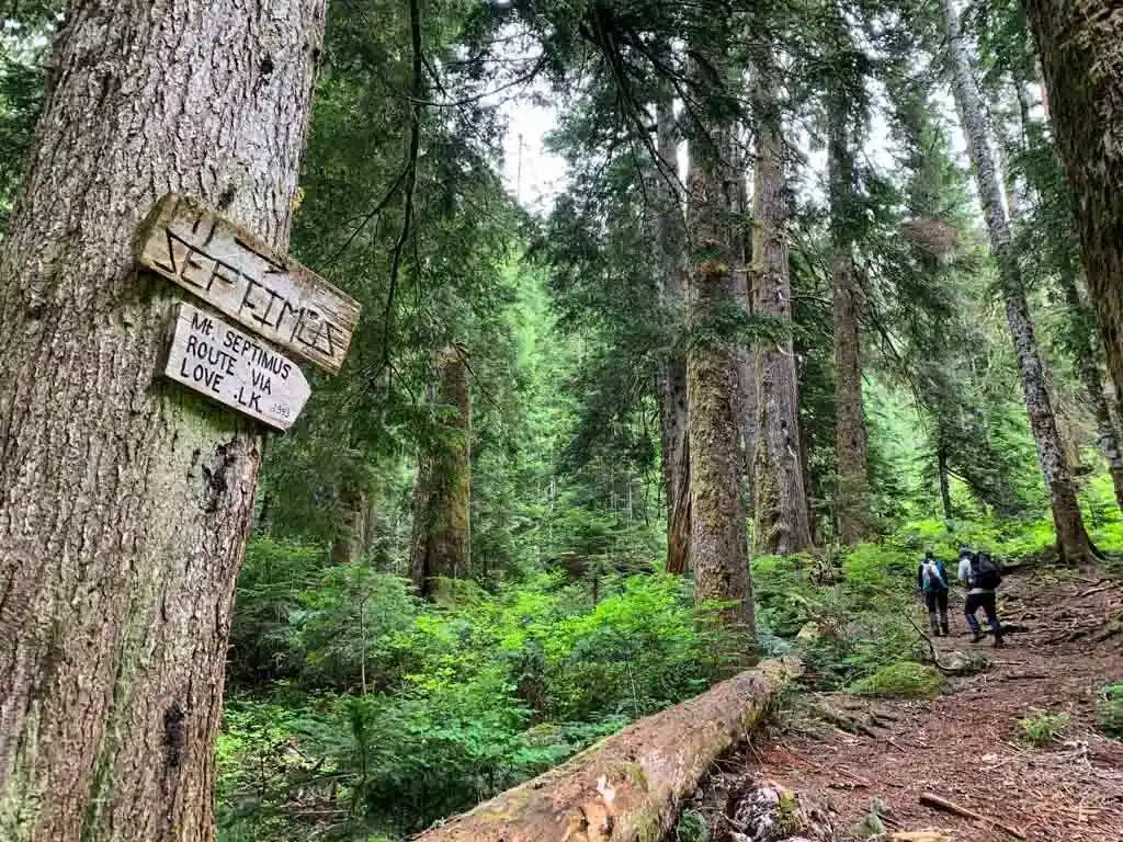 Love lake trail junction