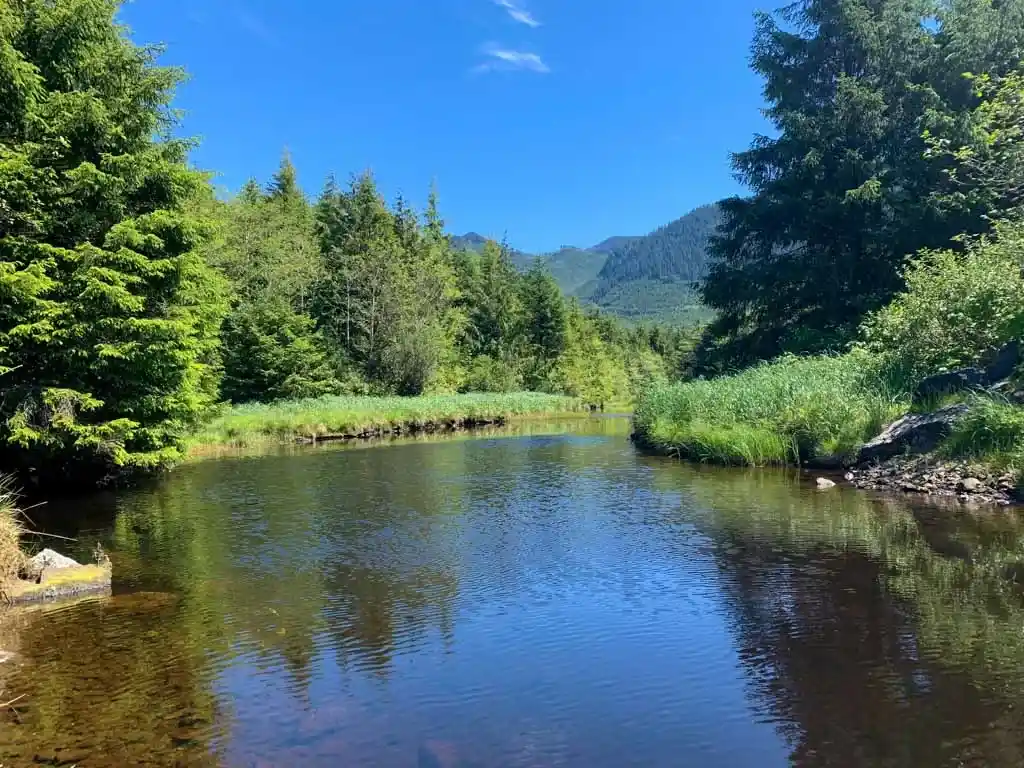 Porritt Creek