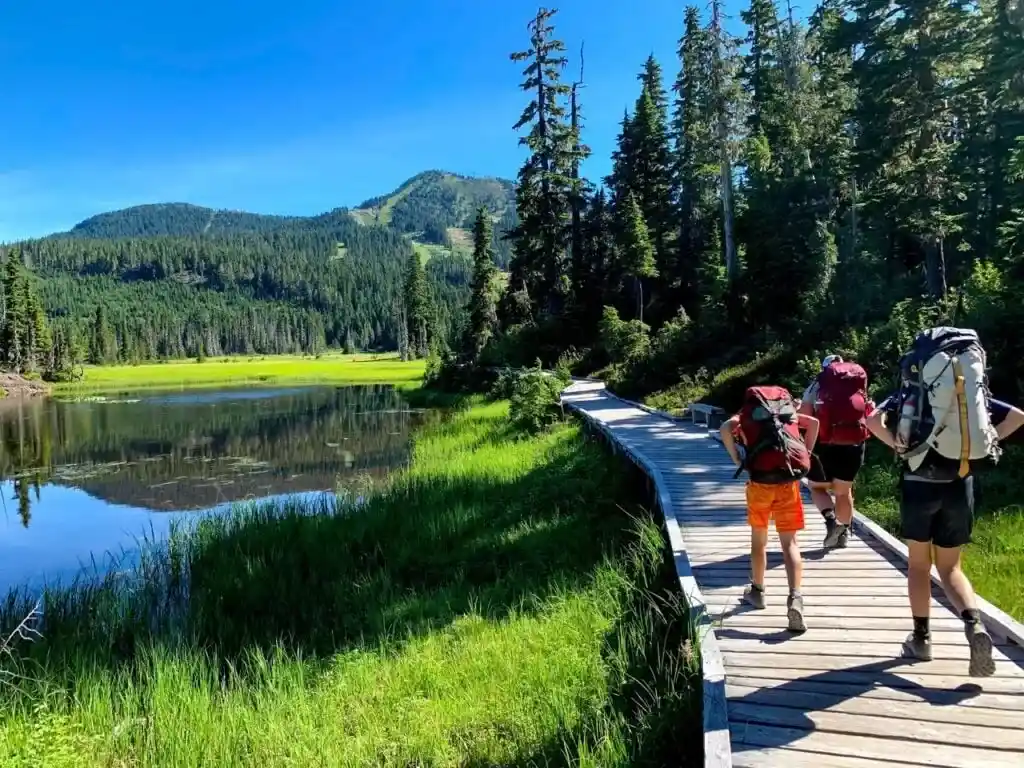 Backpackers in Paradise Meaows on the way to Lake Helen Mackenzie in Strathcona Provincial Park - a great family backpacking trip