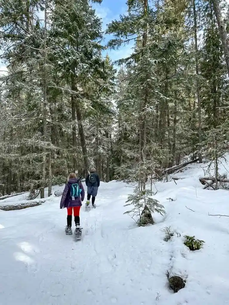 Snowshoers on a trail in Whistler