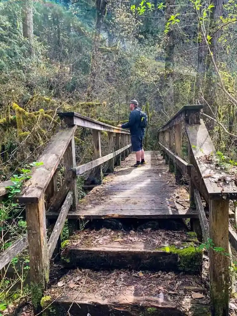 The Thompson Trail to Brohm Lake in Squamish