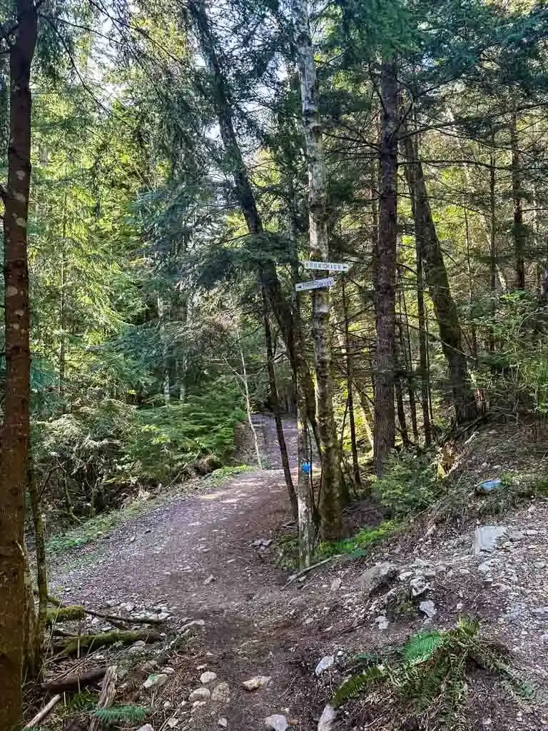 Junction with the trail to Brunswick Mountain