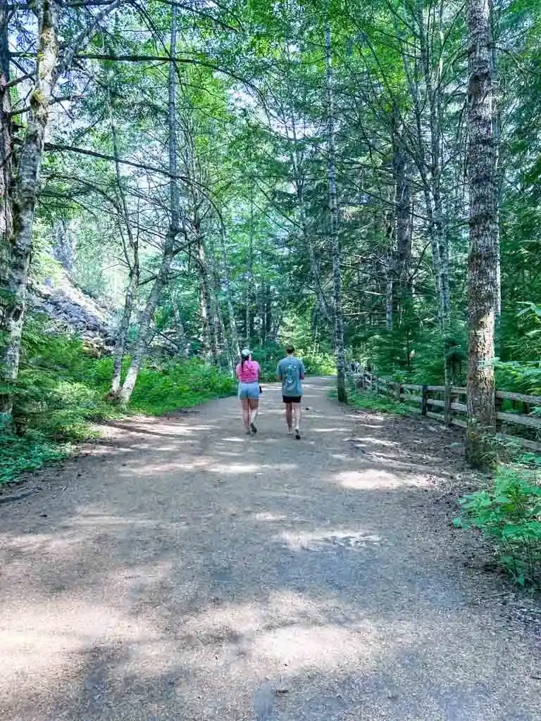 Wide trail through the forest