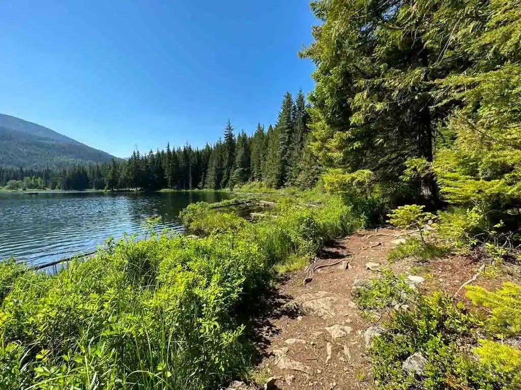 A section of the Nature Trail along the shoreline