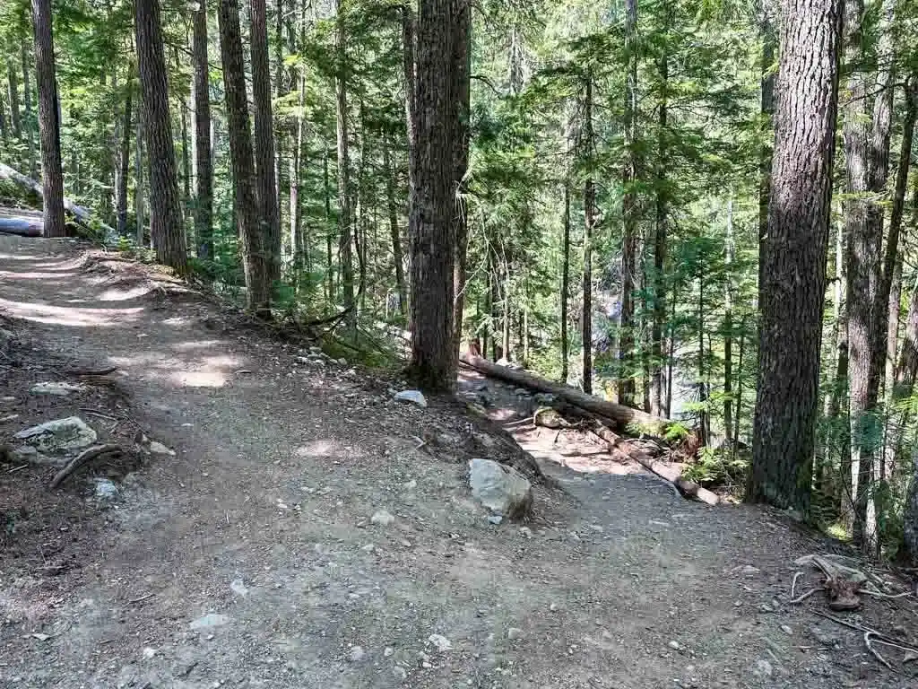 Junction on the Rainbow Falls Trail
