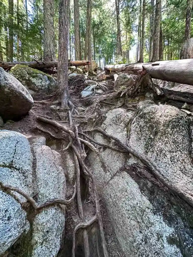 The trail down to Rainbow Falls