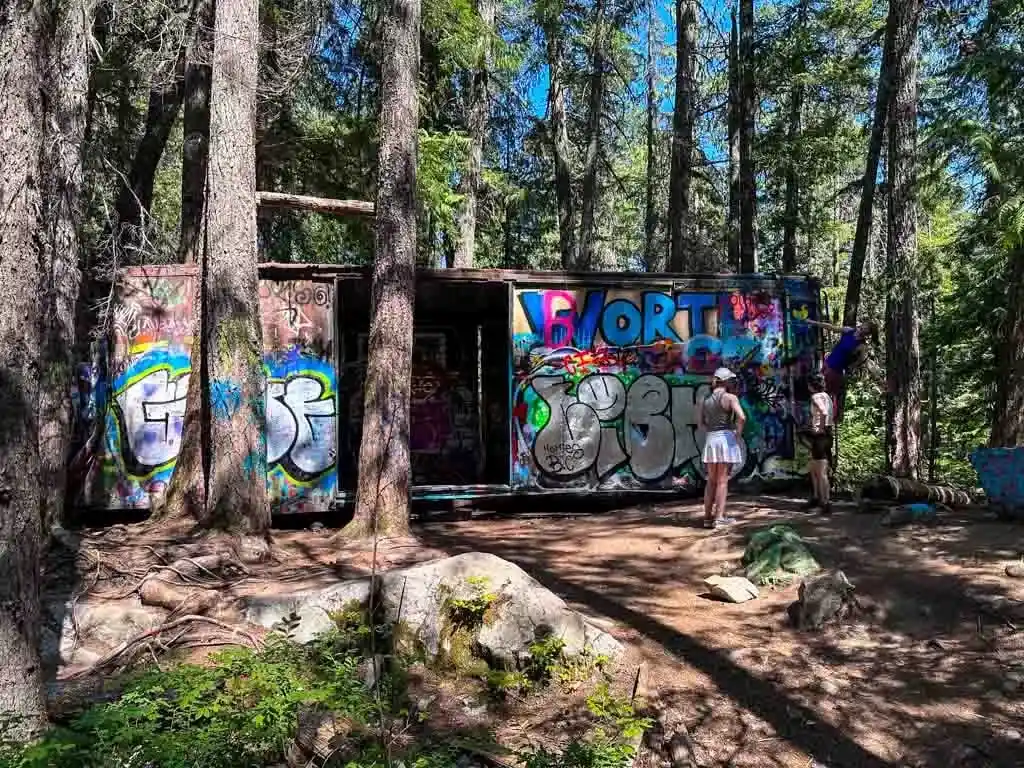 Graffiti covered train cars in Whistler