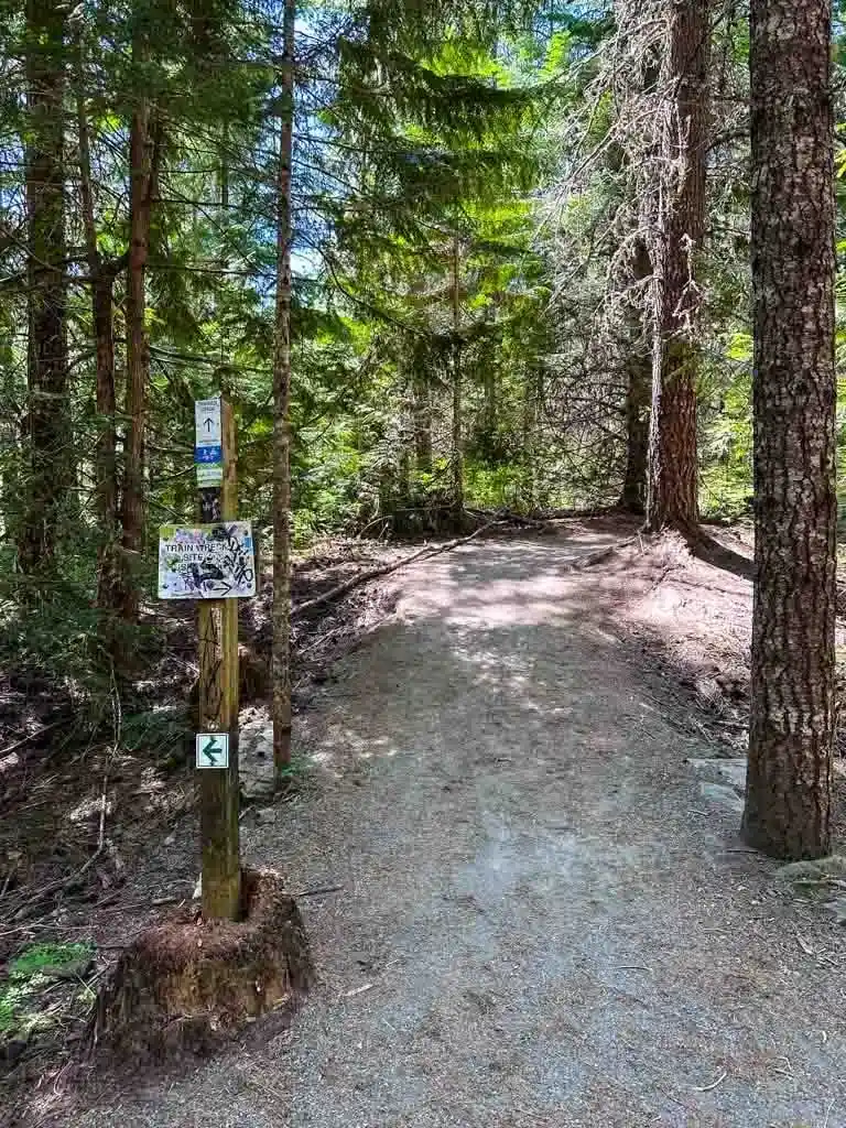 Signs at the junction with the Train wreck express trail