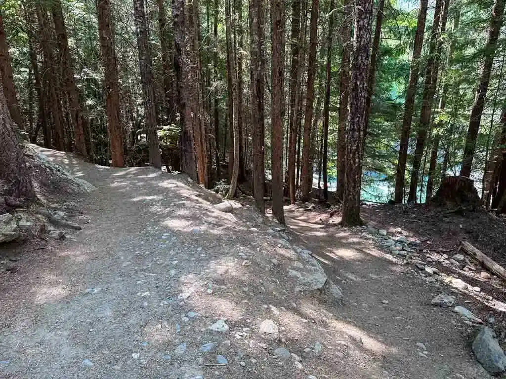 Whistler Train Wreck Trail