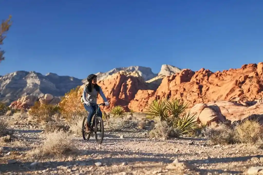 Mountain biking in Red Rock Canyon