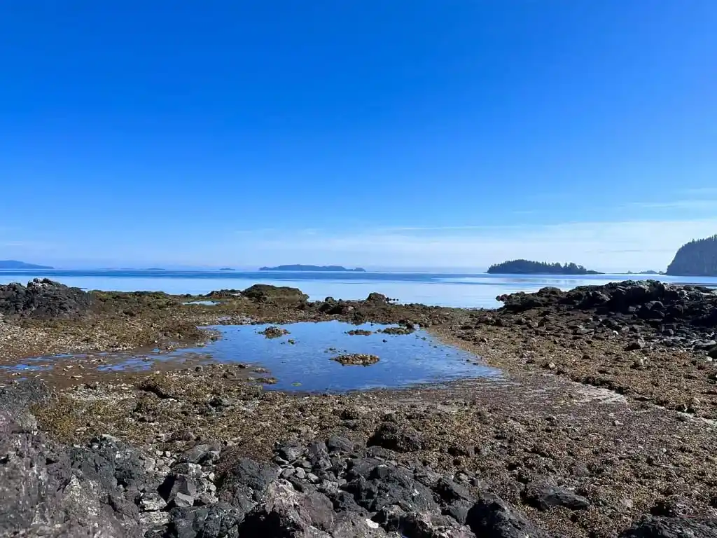 A Haida octopus farm at Tanu in Gwaii Hanaas National Park