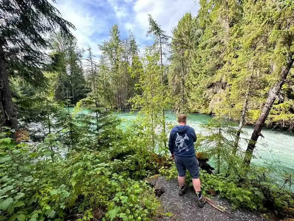 Looking into the green waters of the Tseax River at the Drowned Forest viewpoint