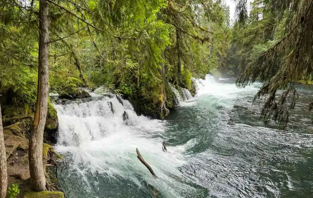 Vetter Falls in the Nass Valley