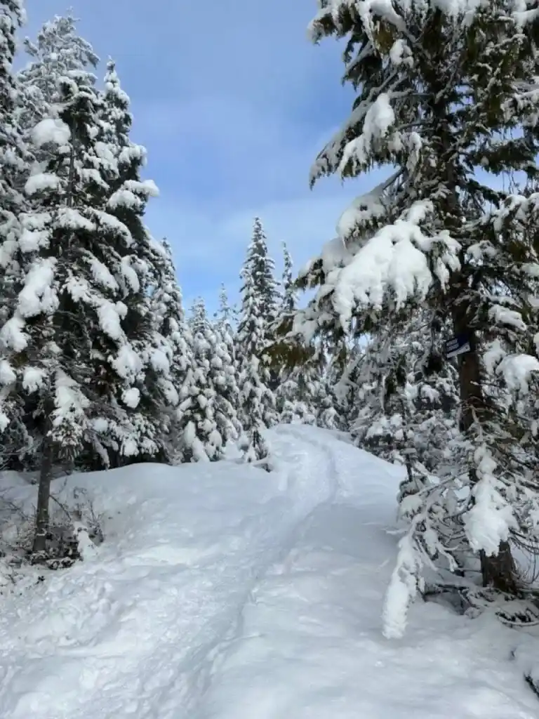 Snowshoeing on the Wonderland Lake Loop at the Sea to Sky Gondola.