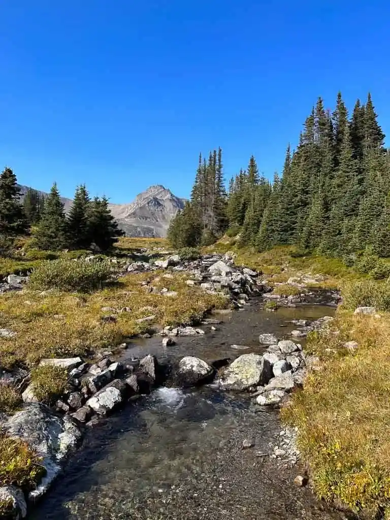 A stream near Big Shovel Pass in Jasper National Park