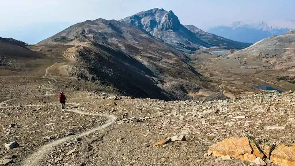 A hiker on the Skyline Trail near Mount Tekarra
