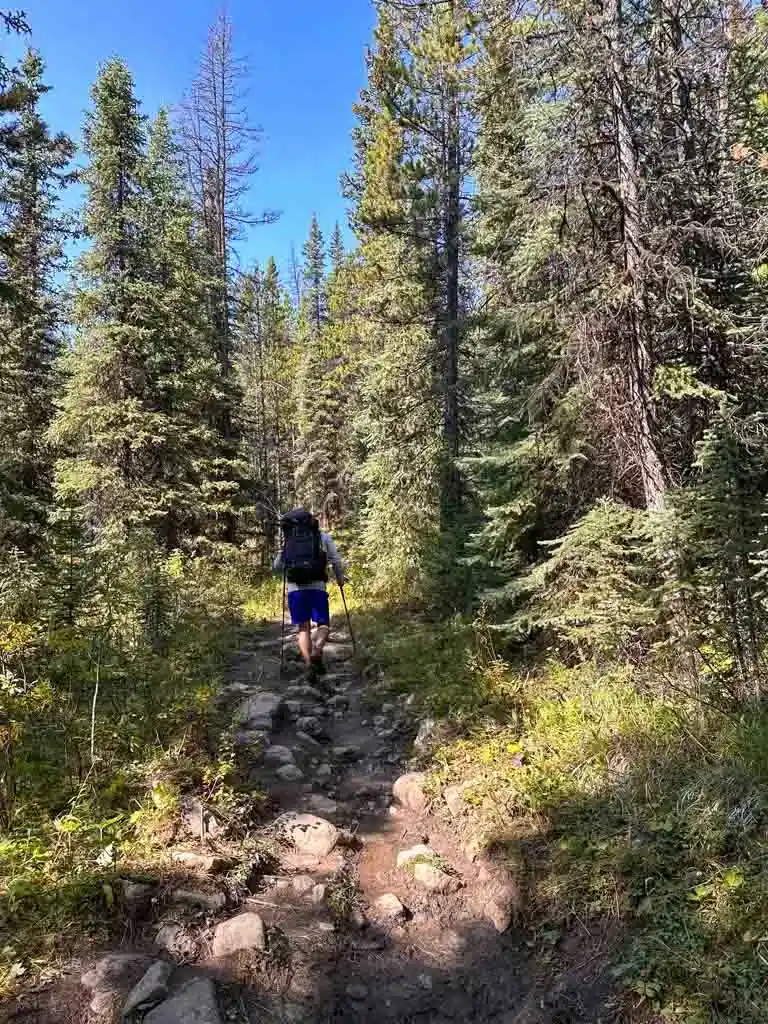 Skyline Trail near Evelyn Creek