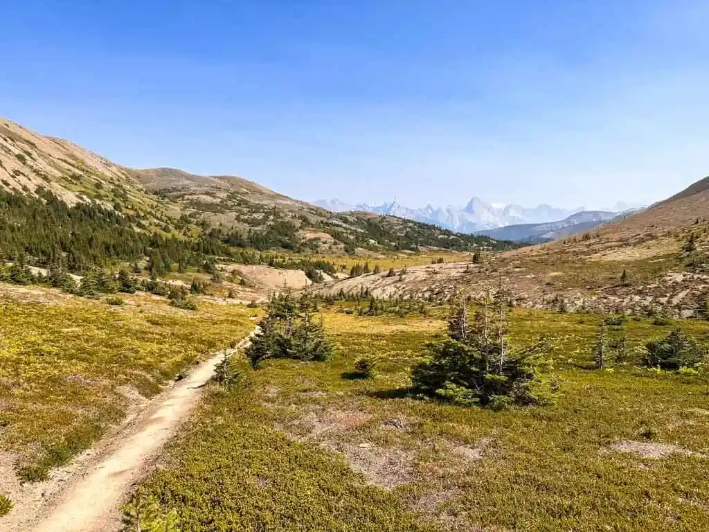 Looking east from Little Shovel Pass on the Skyline Trail in Jasper National Park