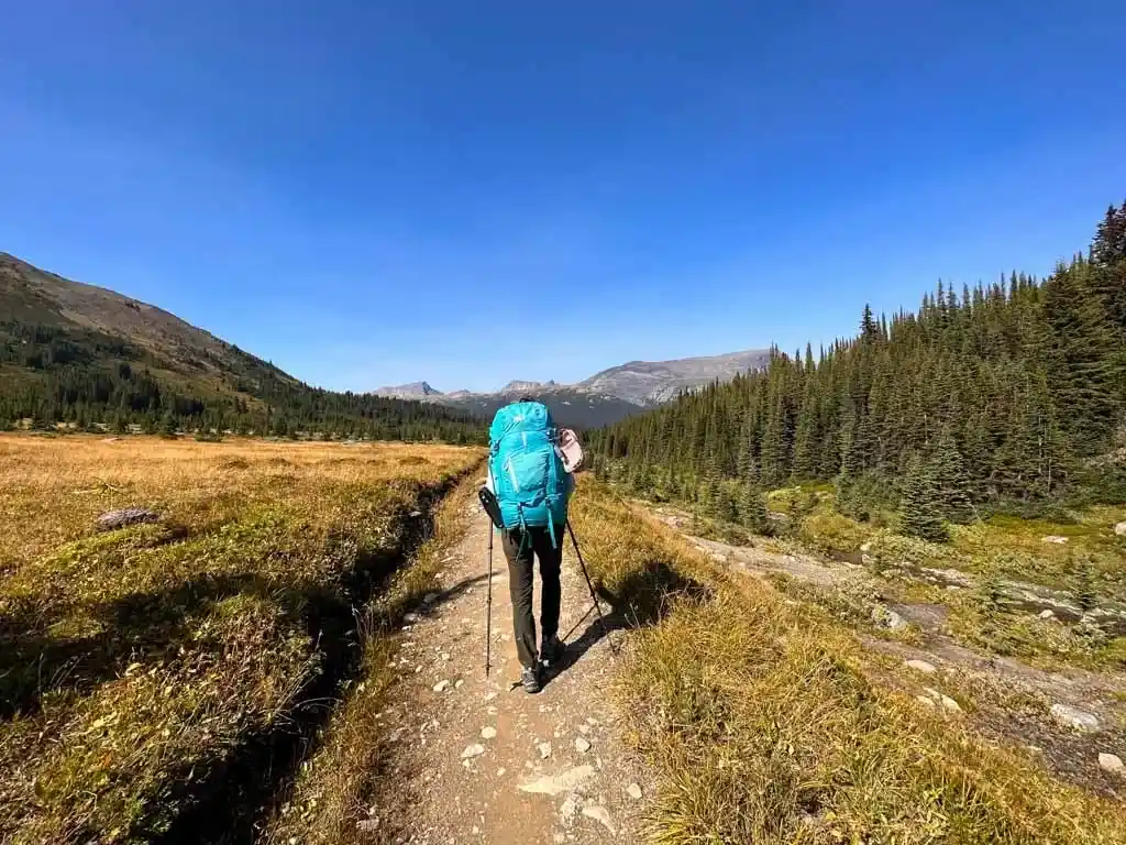 A hiker on the trail near Snowbowl Camp