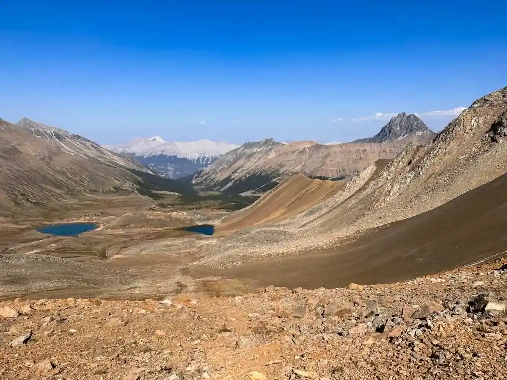 View of the Excelsior Creek valley from the Skyline Trail
