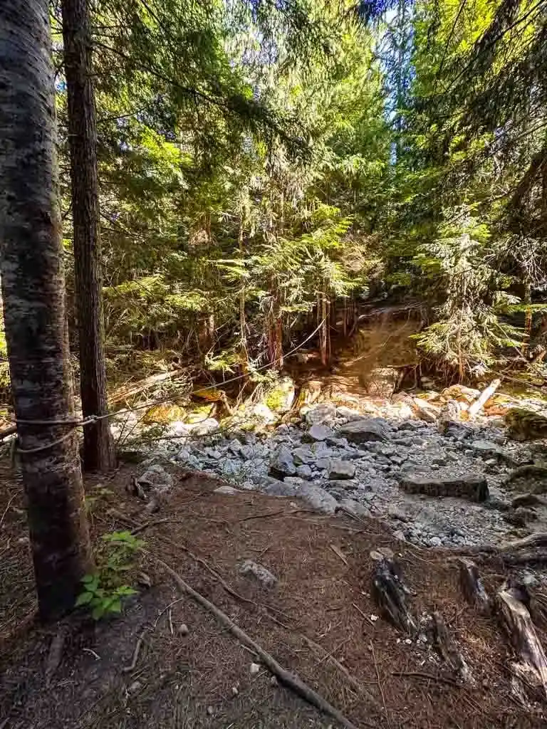 Olesen Creek crossing on the Al's Habrich trail