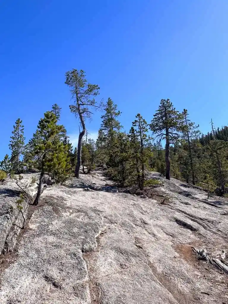 Granite ridge above the Sea to Sky Gondola