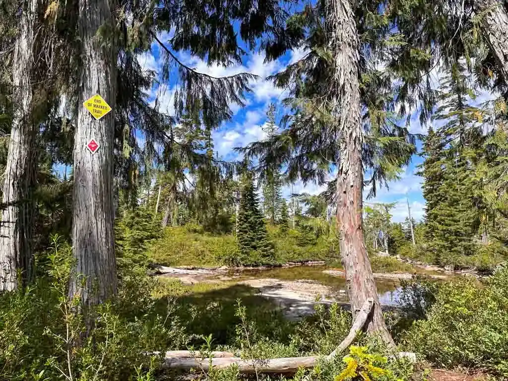 Neverland Lake in Squamish