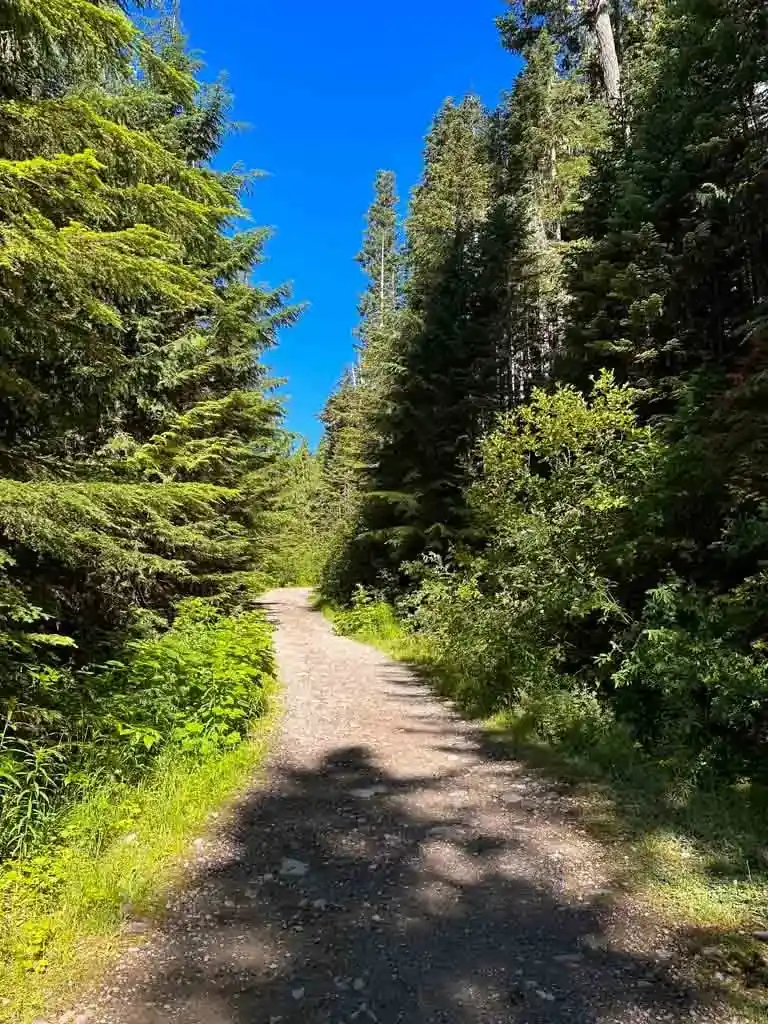 The trail to Elfin Lakes is mostly on an old gravel road. 