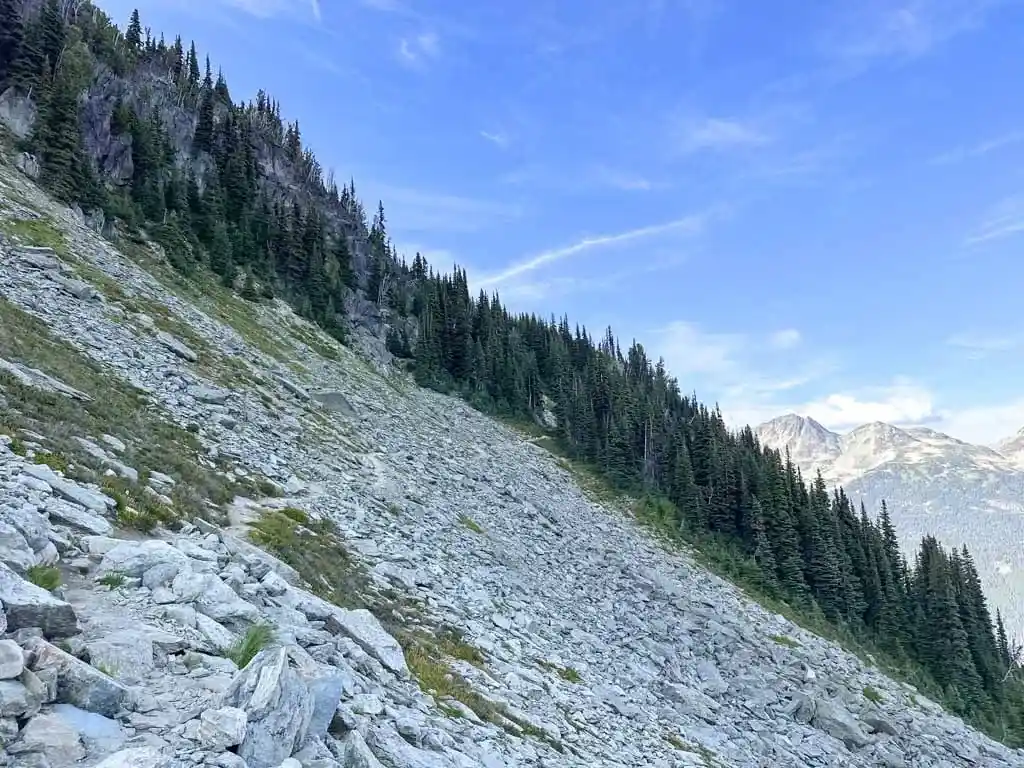 A trail cuts across a rock slide in Whistler