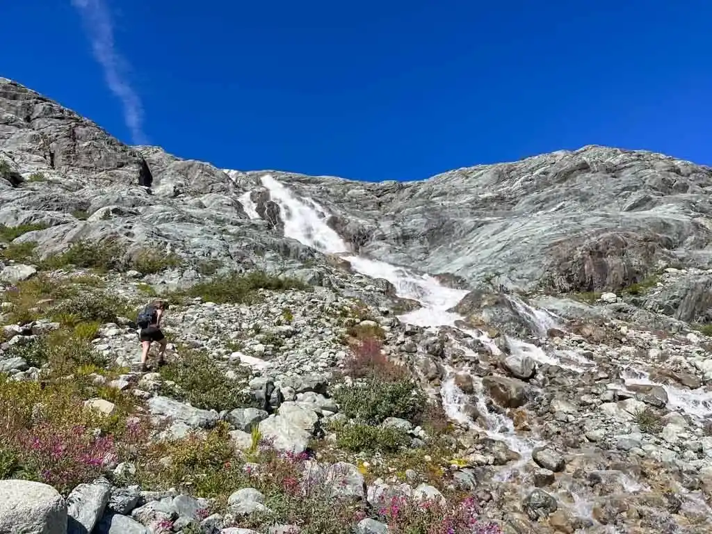 A hiker next to a waterfall in rocky terrain with wildflowers in the foreground
