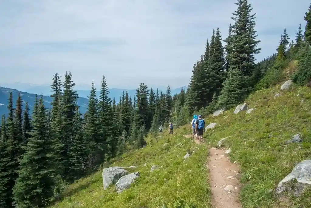 Hikers in an alpine meadow on the Blackcomb Trails at Whistler