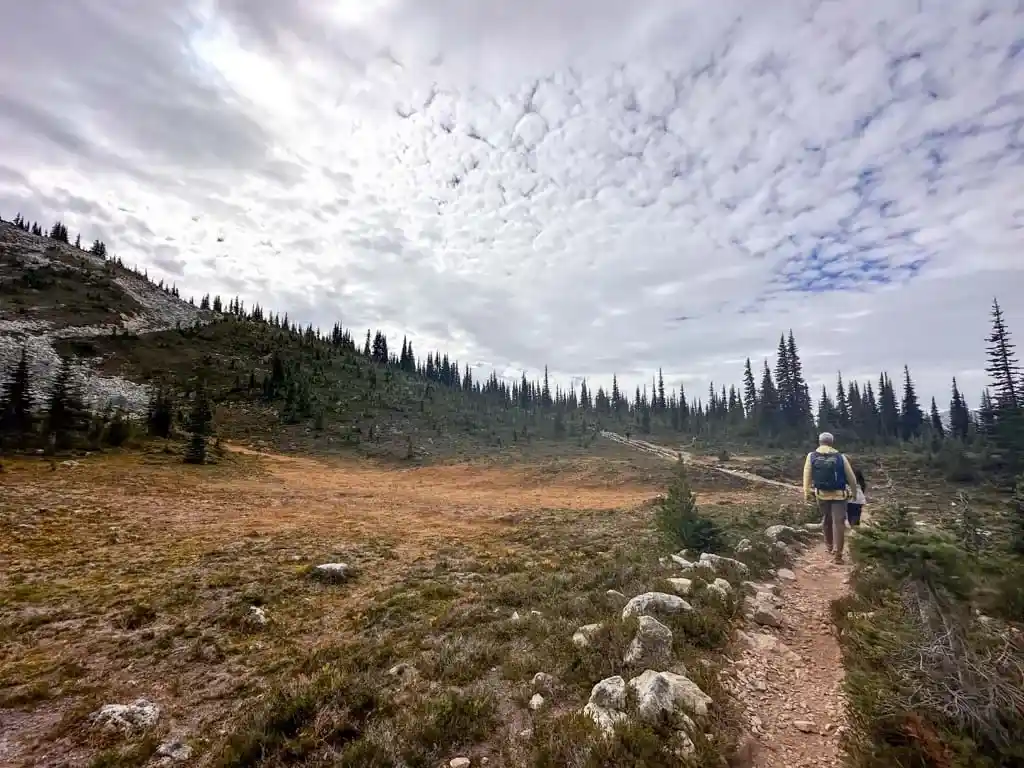 Meadow on the Overlord Trail