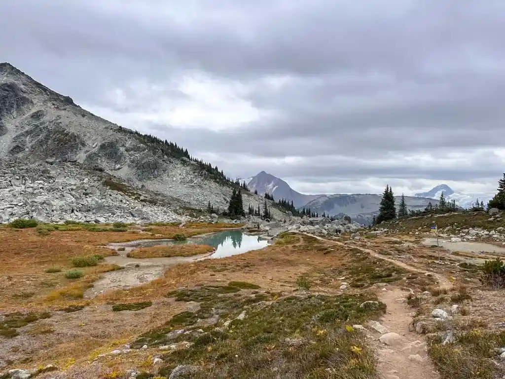 Decker Tarn on the Blackcomb alpine trails