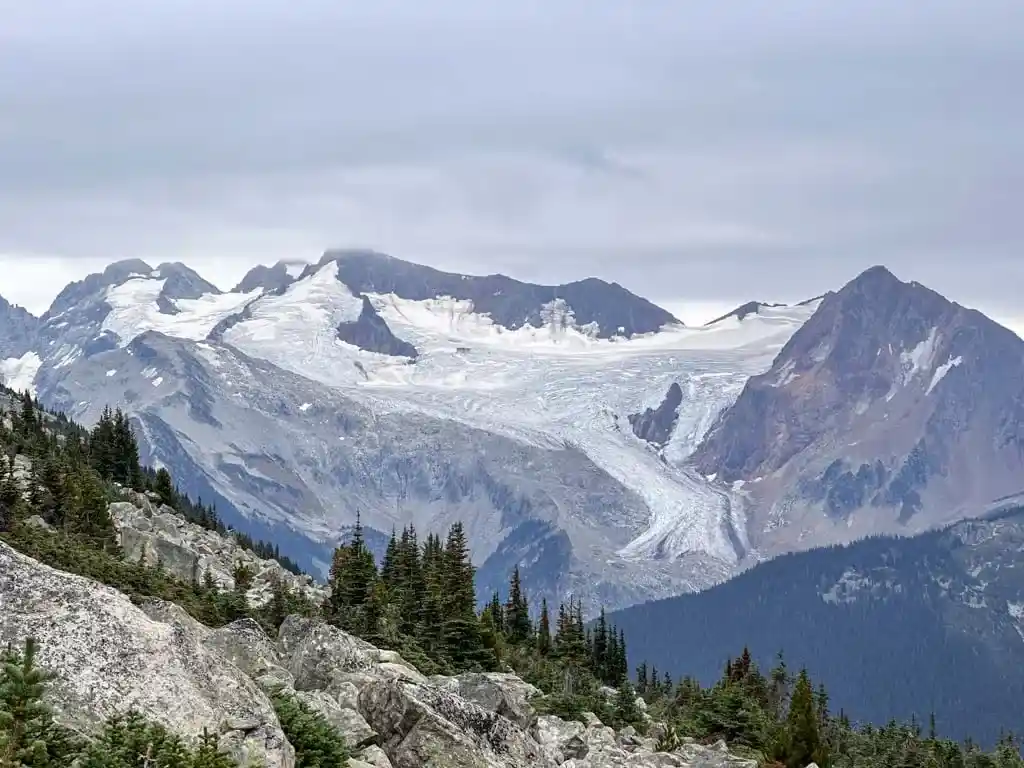View of the glaciers from Blackcomb Trails